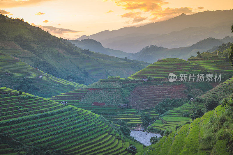 美丽的风景，绿色的稻田准备在越南西北部的梯田日落山在木仓寨，Yen Bai，越南